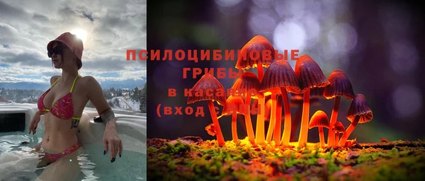 гидропоника Алексеевка