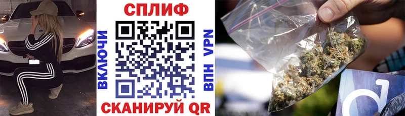 Конопля марихуана  ссылка на мегу как войти  Кисловодск 