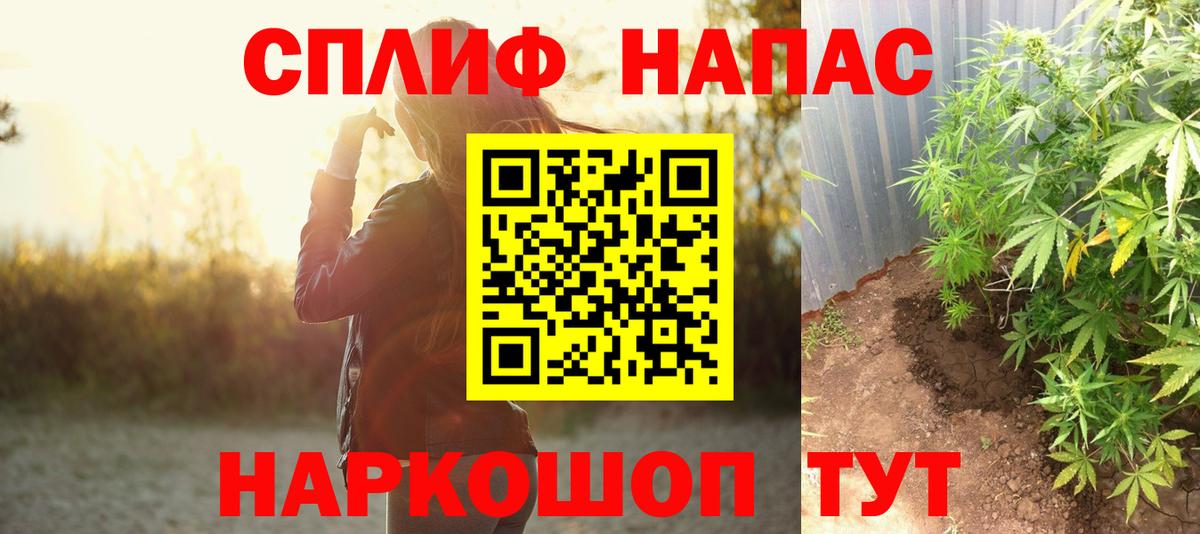 Конопля ГИДРОПОН Кисловодск